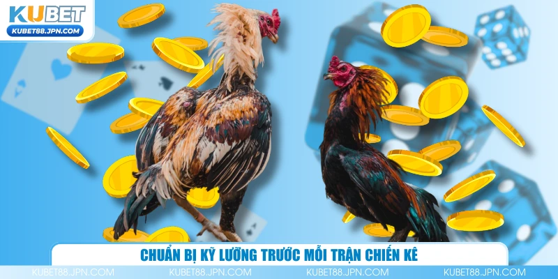 Chuẩn bị kỹ lưỡng trước mỗi trận chiến kê 