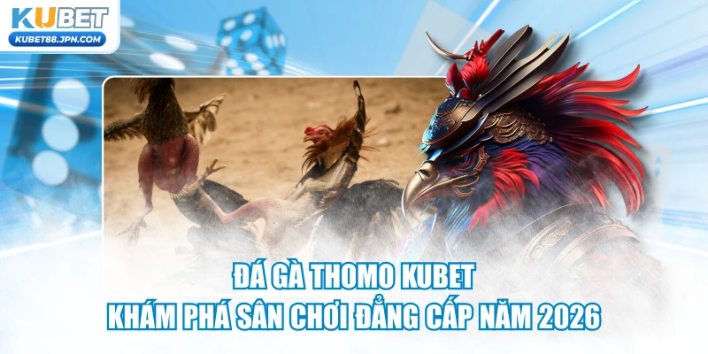 Đá Gà Thomo KUBET - Khám Phá Sân Chơi Đẳng Cấp Năm 2026