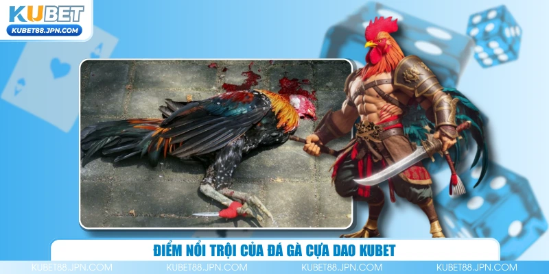 Điểm nổi trội của đá gà cựa dao KUBET