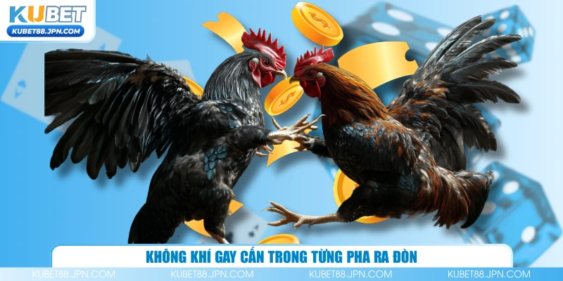 Không khí gay cấn trong từng pha ra đòn 